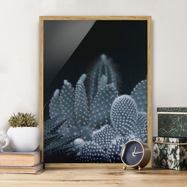 Poster con cornice - Famiglia di cactus nella notte