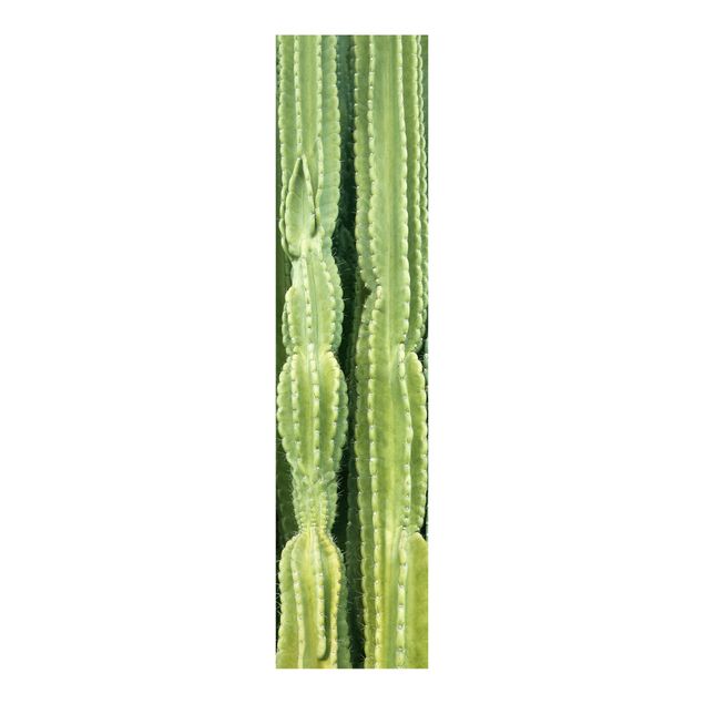 set tende a pannello Muro di cactus