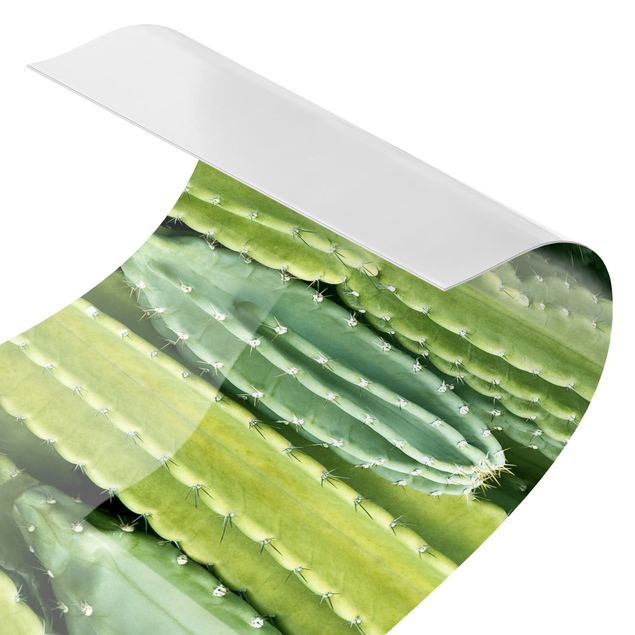 Rivestimento cucina verde Muro di cactus