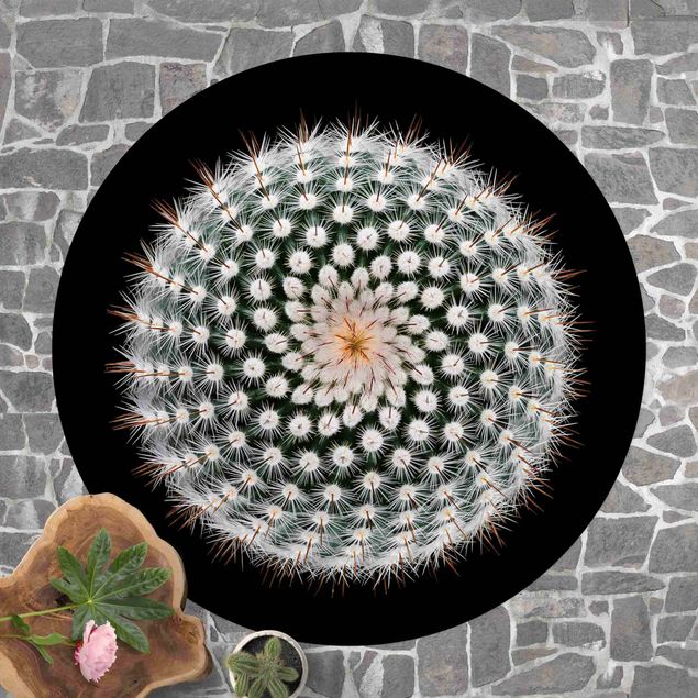 Tappeto per balcone Fiore di cactus