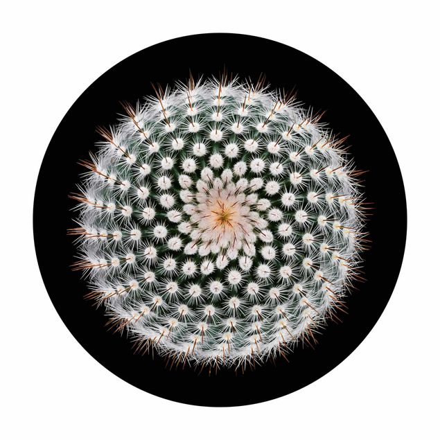 Tappeti effetto naturale Fiore di cactus