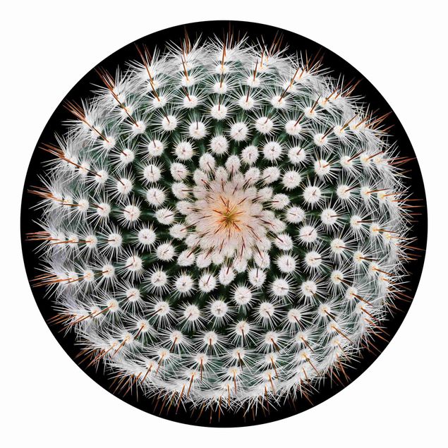 Carta da parati rotonda autoadesiva - fiore di cactus