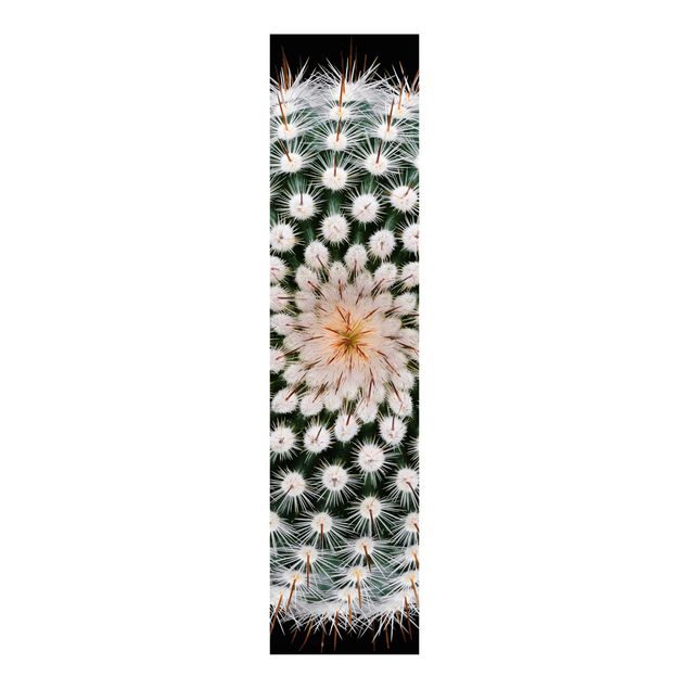set tende a pannello Fiore di cactus