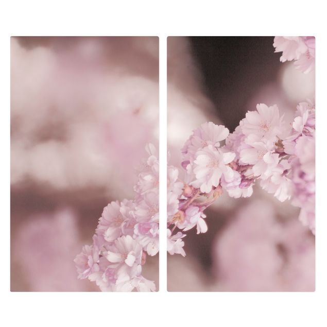 Coprifornelli - Fiori di ciliegio nella luce viola