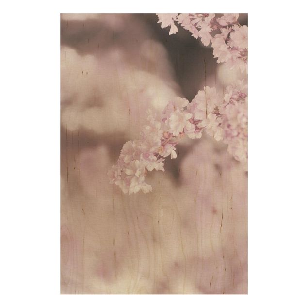 Stampa su legno - Fiori di ciliegio nella luce viola