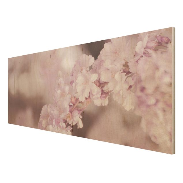 Stampa su legno - Fiori di ciliegio nella luce viola
