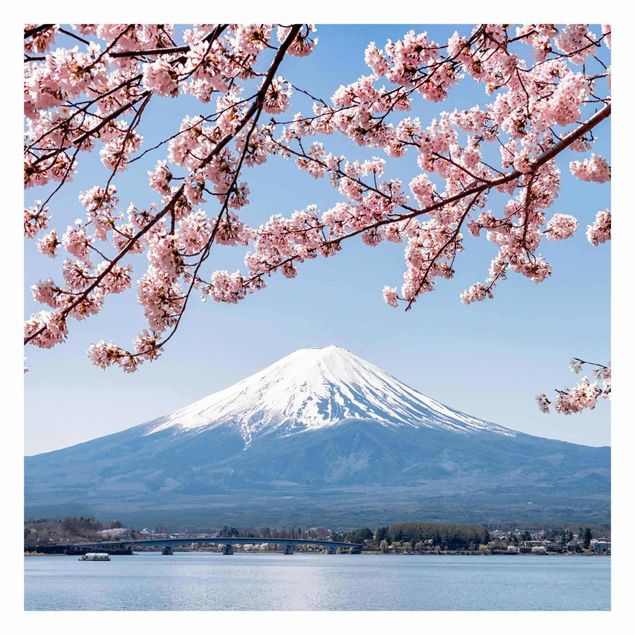 Carta da parati - Fioriture di ciliegio con il monte Fuji