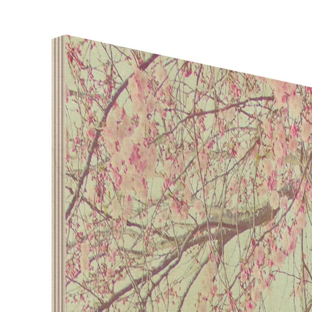Stampa su legno - Nostalgia di fiori di ciliegio