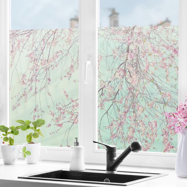 Pellicola per vetri per salone Nostalgia di fiori di ciliegio