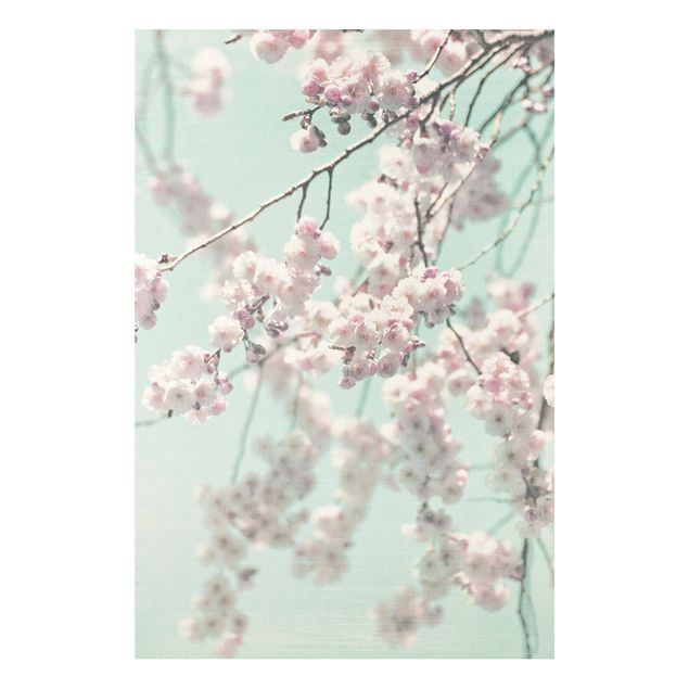 Stampa su Forex - Danza di fiori di ciliegio su struttura di lino - Formato verticale 2:3