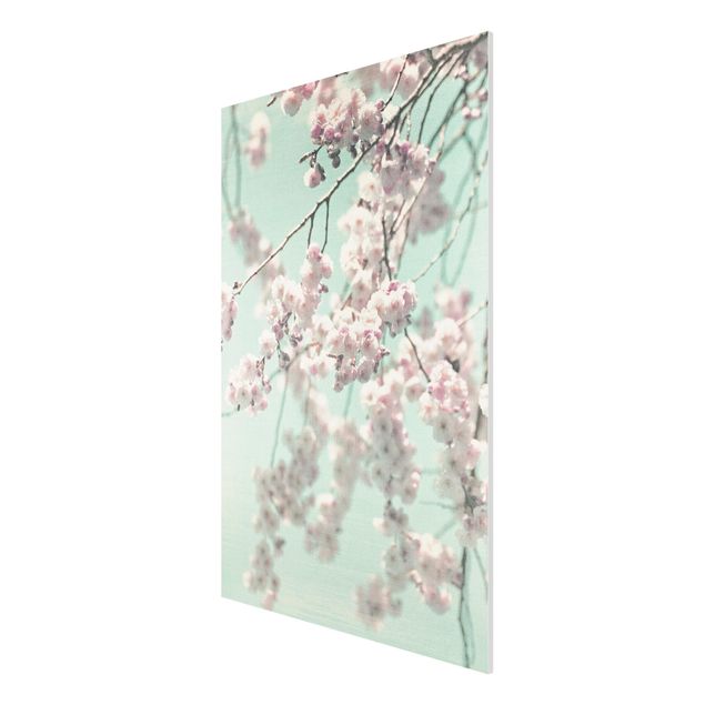 Stampa su Forex - Danza di fiori di ciliegio su struttura di lino - Formato verticale 2:3