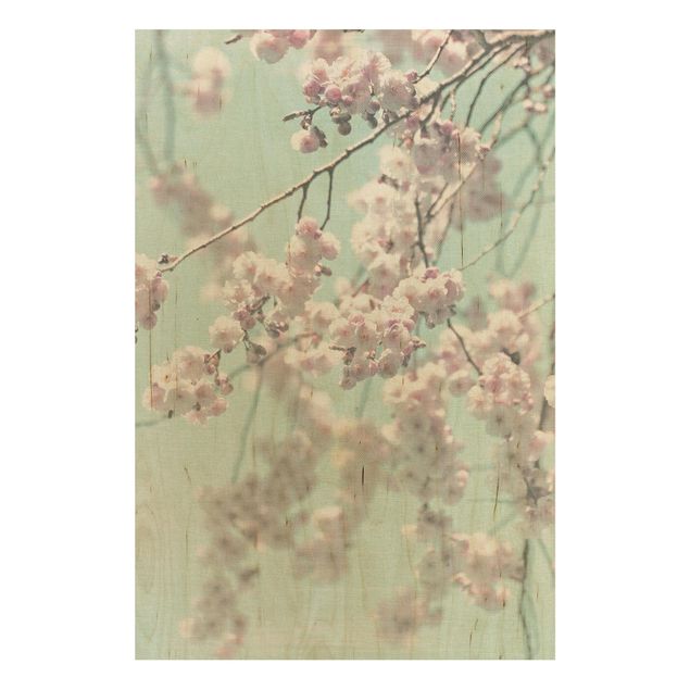 Stampa su legno - Danza di fiori di ciliegio su struttura di lino