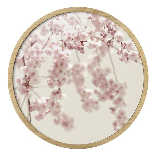Quadro rotondo incorniciato - Danza di fiori di ciliegio