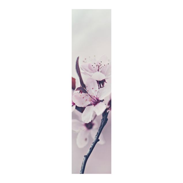 Set tende a pannello Ramo di fiori di ciliegio in rosa antico