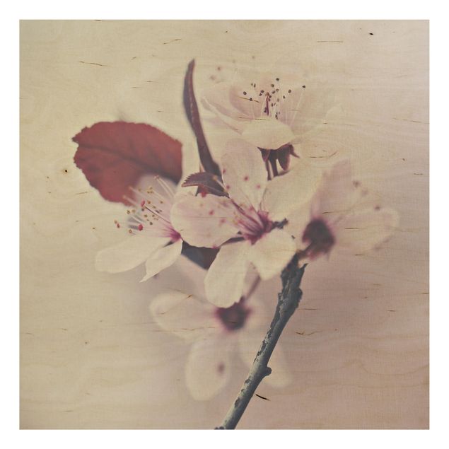 Stampa su legno - Ramo di fiori di ciliegio in rosa antico