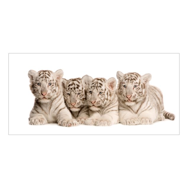 Pellicola per vetri Bambini tigre del Bengala