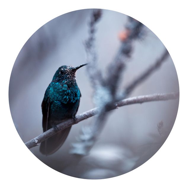 Carta da parati rotonda autoadesiva - Hummingbird in inverno
