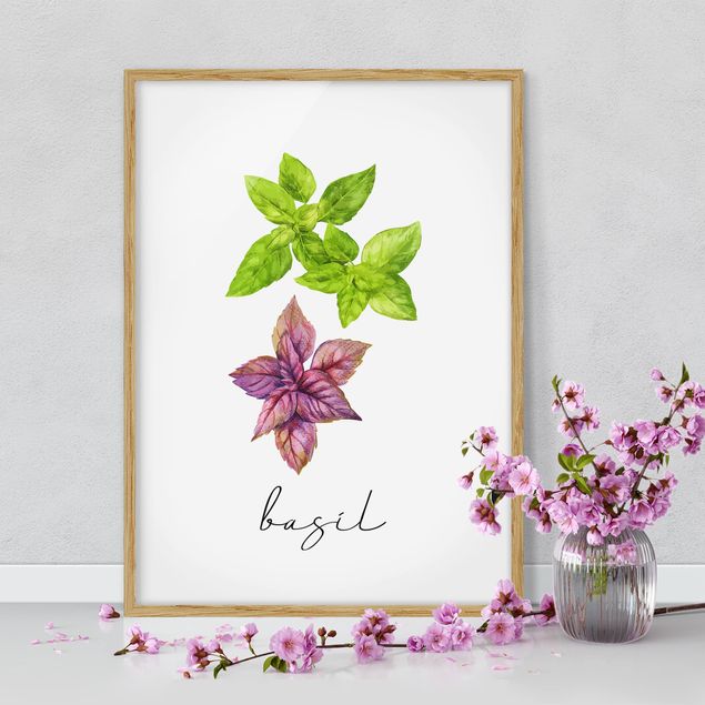 Poster con cornice - Illustrazione di erbe aromatiche basilico