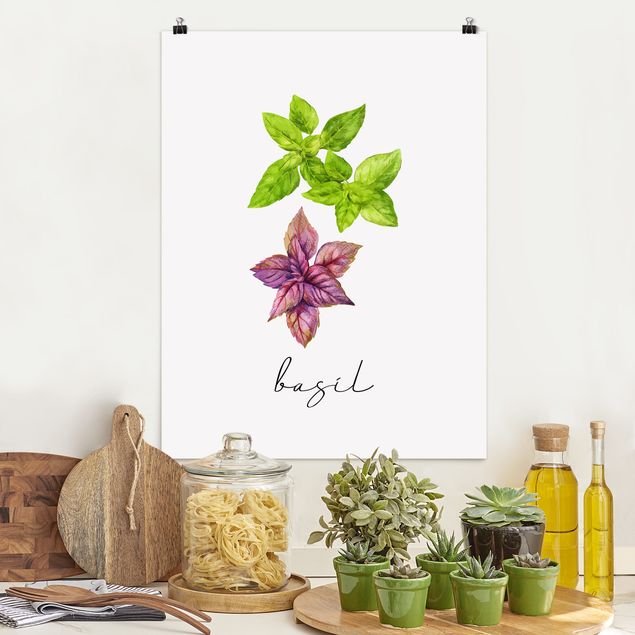 Poster illustrazioni Illustrazione di erbe aromatiche Basilico