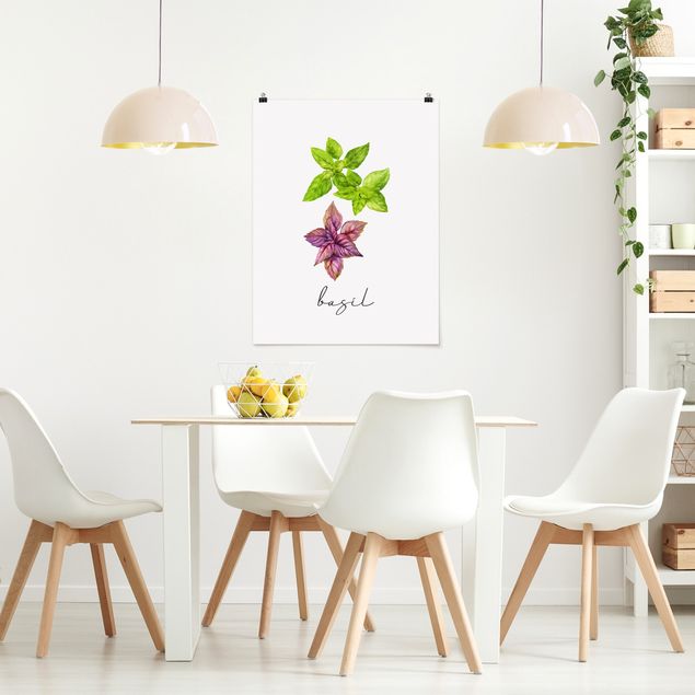 Poster - Illustrazione di erbe aromatiche basilico