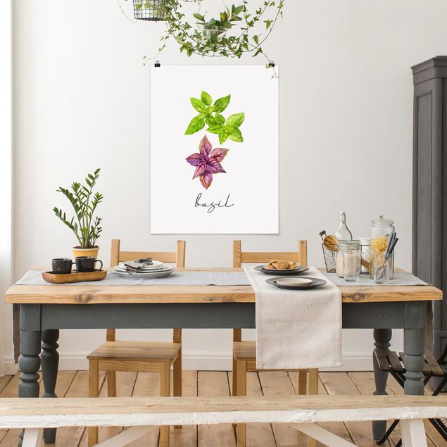 Poster - Illustrazione di erbe aromatiche basilico