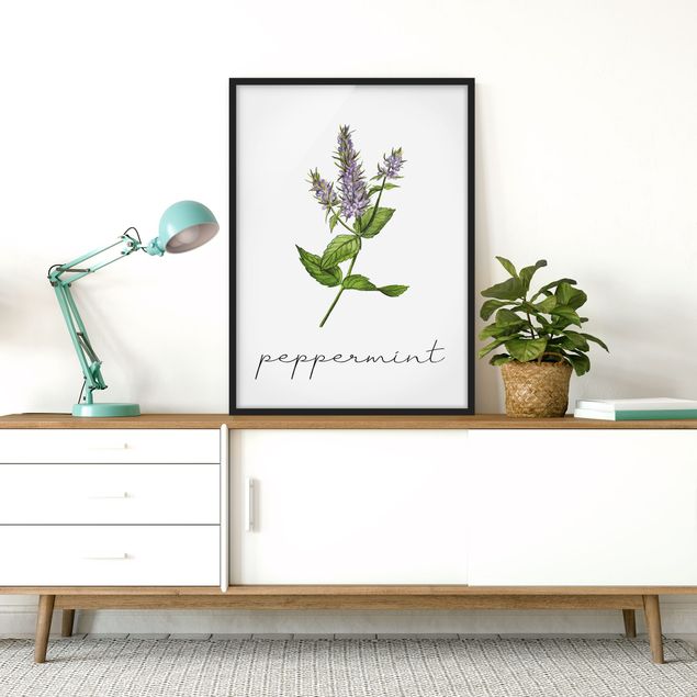 Poster con cornice - Illustrazione di erbe aromatiche menta piperita