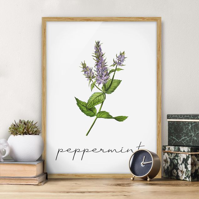 Poster con cornice - Illustrazione di erbe aromatiche menta piperita