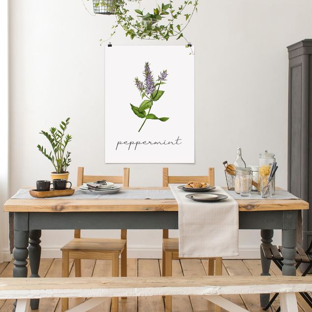 Poster - Illustrazione di erbe aromatiche menta piperita