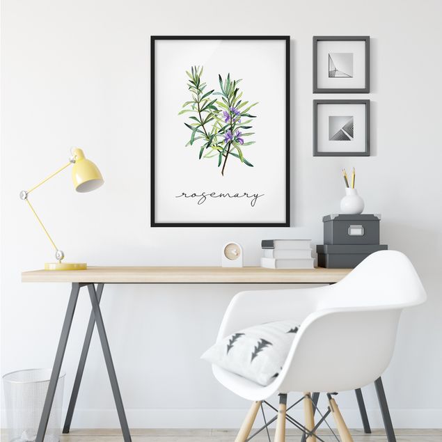 Poster con cornice - Illustrazione di erbe aromatiche rosmarino