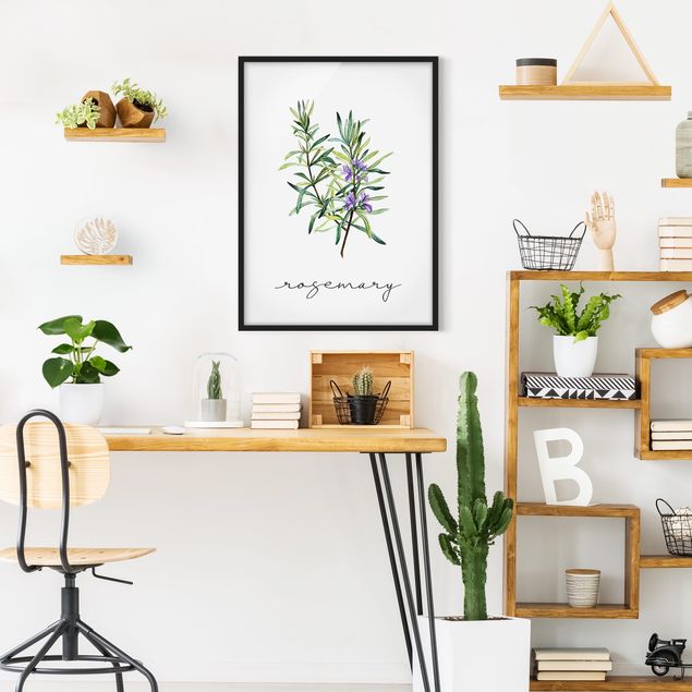 Poster con cornice - Illustrazione di erbe aromatiche rosmarino