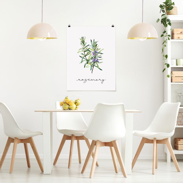 Poster - Illustrazione di erbe aromatiche rosmarino