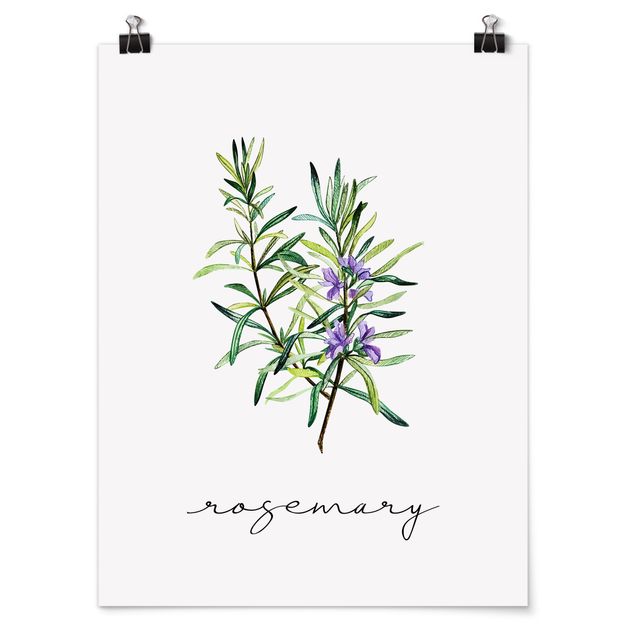 Poster - Illustrazione di erbe aromatiche rosmarino