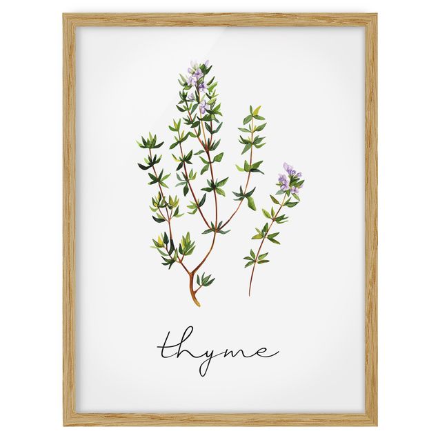 Poster con cornice - Illustrazione di erbe aromatiche timo