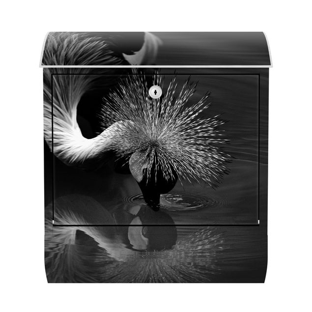 Cassetta postale - Inchino di una gru coronata in bianco e nero