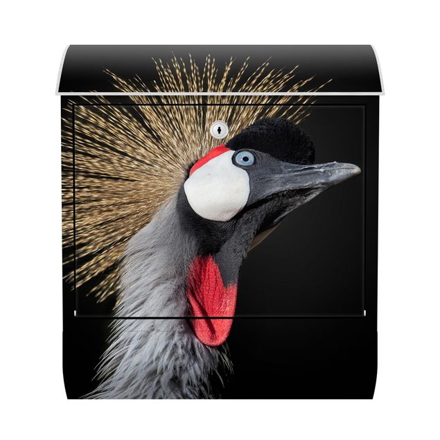 Cassetta postale - Gru coronata su sfondo nero