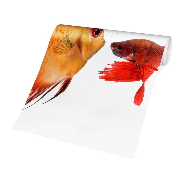 Carta da parati - Kissing Fish