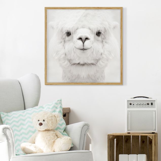 Poster con cornice - Alpaca che sorride