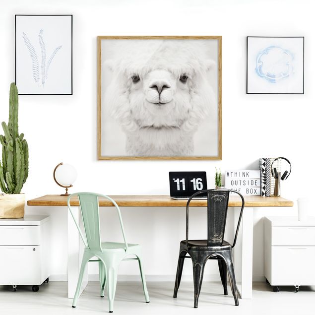 Poster con cornice - Alpaca che sorride