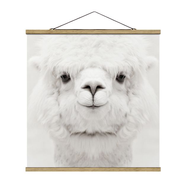 Foto su tessuto da parete con bastone - Alpaca che sorride - Quadrato 1:1