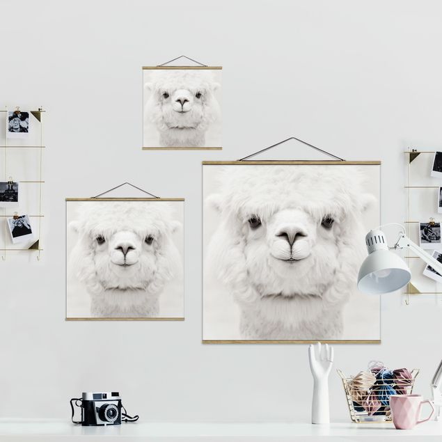 Foto su tessuto da parete con bastone - Alpaca che sorride - Quadrato 1:1