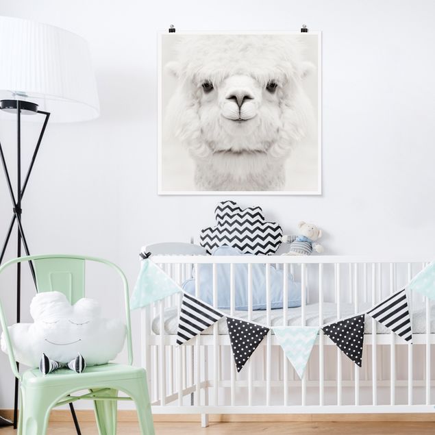 Poster cameretta bambini animali Alpaca sorridente