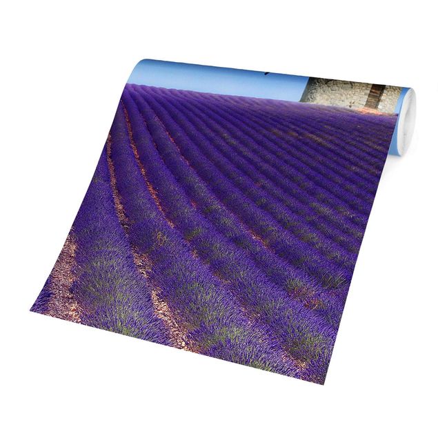 Carta da parati - The Scent Of Lavender In The Provence