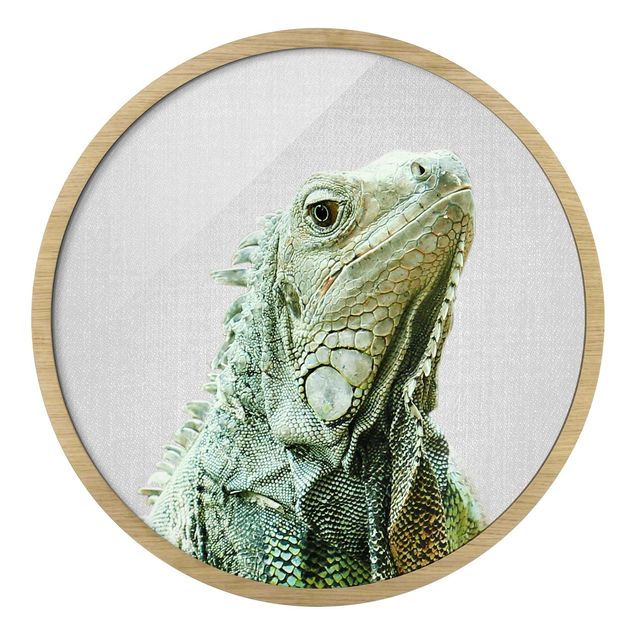 Quadro rotondo incorniciato - Iguana Louis