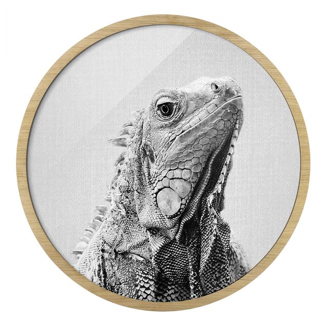 Quadro rotondo incorniciato - Iguana Louis in bianco e nero