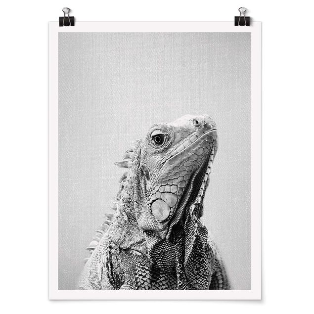 Poster riproduzione - Iguana Louis in bianco e nero