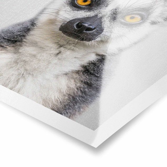 Poster riproduzione - Lemure Ludwig