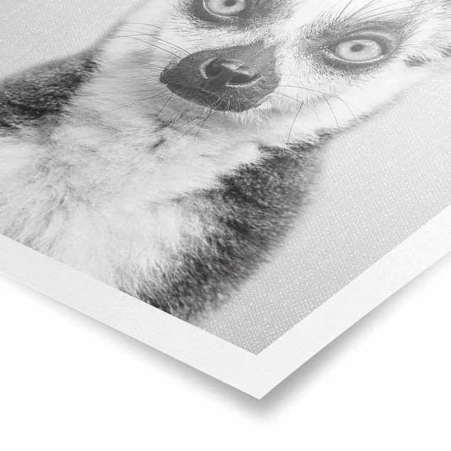 Poster riproduzione - Lemure Ludwig in bianco e nero