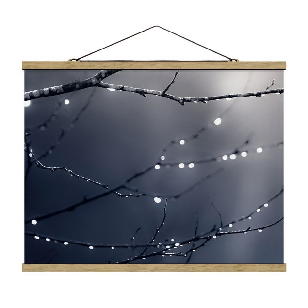 Foto su tessuto da parete con bastone - Gocce di luce su ramo di betulla - Orizzontale 4:3