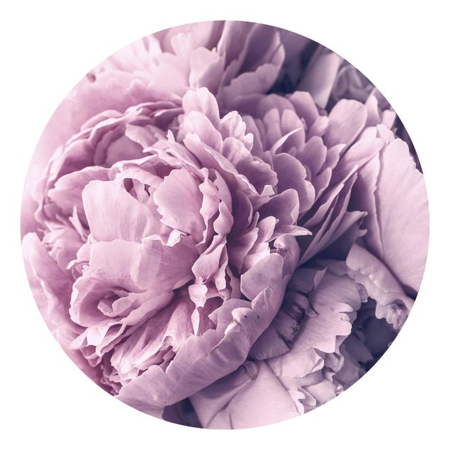 Carta da parati rotonda autoadesiva - Viola fiori di peonia