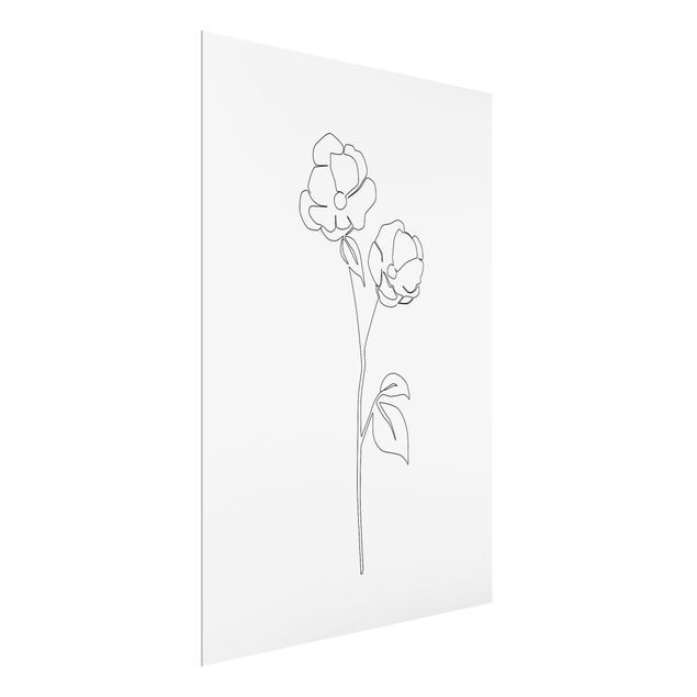 Quadro in vetro - Fiori Line Art - Papavero in fiore
